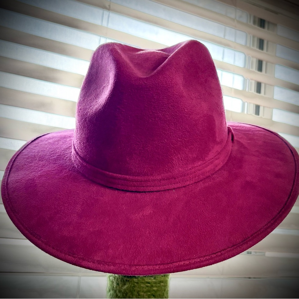 Wide brim fedora